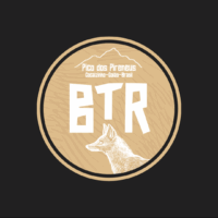 Corrida BTR PIRINEUS 2025 – Resultado