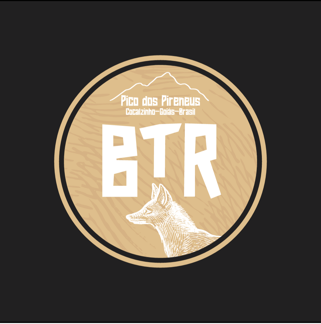 Corrida BTR PIRINEUS 2025 – Resultado